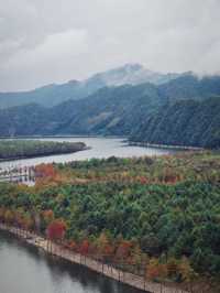 皖南紅杉林 + 竹海挖筍！智能美墅太絕