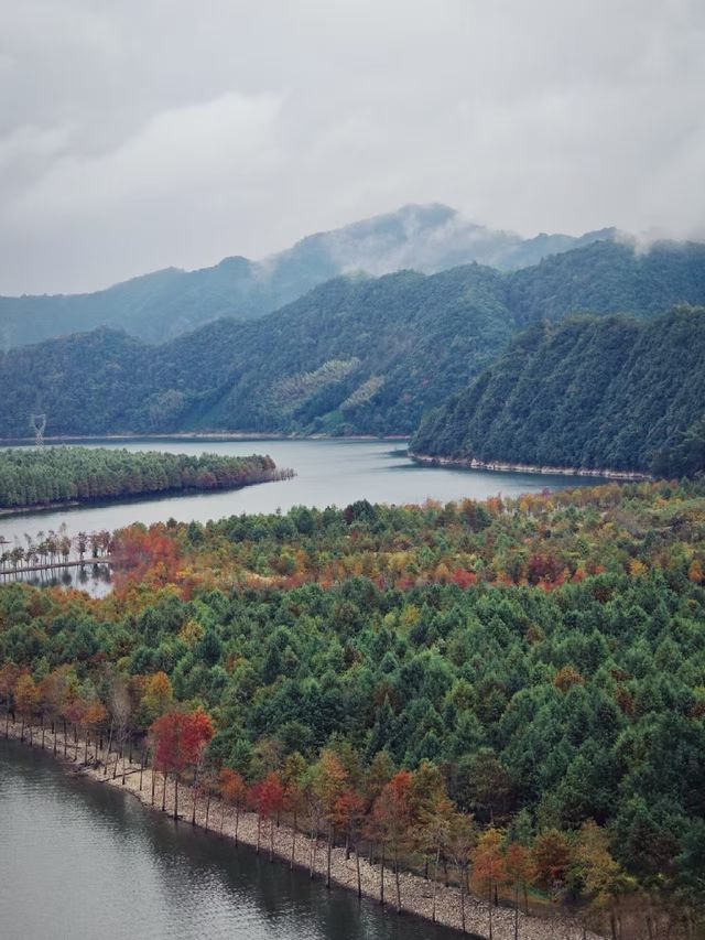 皖南紅杉林 + 竹海挖筍！智能美墅太絕