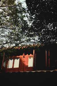 秋天總要帶娃去一次水鄉第一古鎮