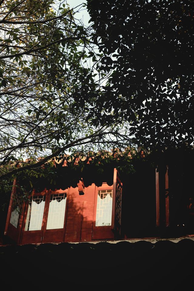 秋天總要帶娃去一次水鄉第一古鎮