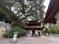 武平定光廟靜心之旅