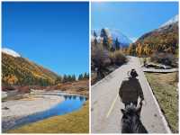 川西被低估的秋日秘境·亞拉雪山（收藏級攻略，建議先碼後看