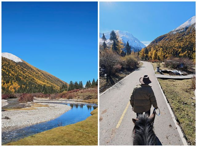 川西被低估的秋日秘境·亞拉雪山（收藏級攻略，建議先碼後看