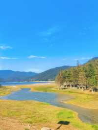 上海3h直達!初冬闖入畫龍村,在浙東古道邂逅瀑布梯田與治癒