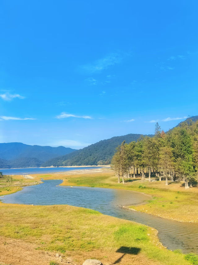 上海3h直達!初冬闖入畫龍村,在浙東古道邂逅瀑布梯田與治癒 上海3h直達!初冬闖入畫龍村,在浙東古道邂逅瀑布梯田與治癒