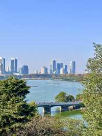 這可能是我在南京花得最值得的15塊錢…