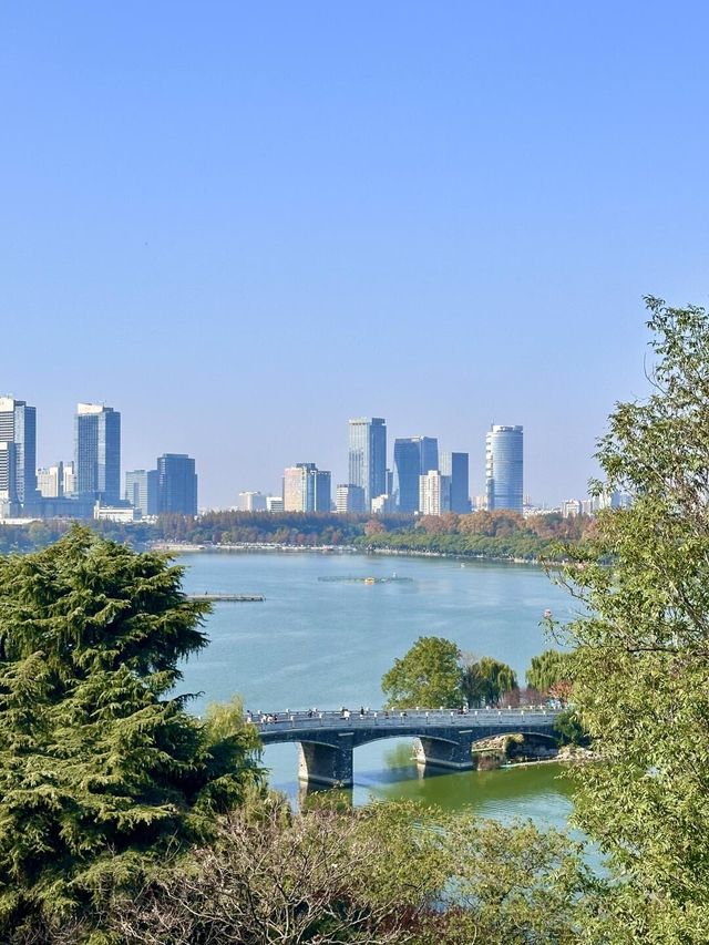 這可能是我在南京花得最值得的15塊錢…