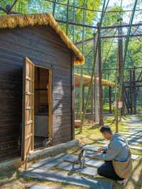 江浙滬這座寶藏樂園！已經被這裡動物萌化了