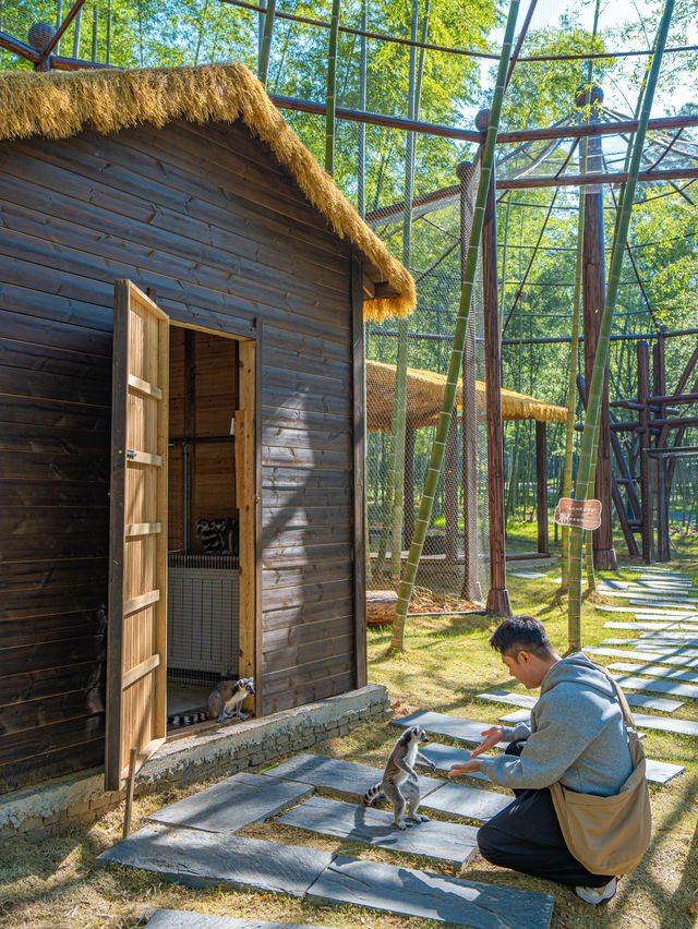 江浙滬這座寶藏樂園！已經被這裡動物萌化了