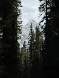 打工人重慶週末不請假極限往返瑞士