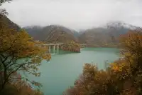 在綿陽發現一處小眾免費看彩林的地方