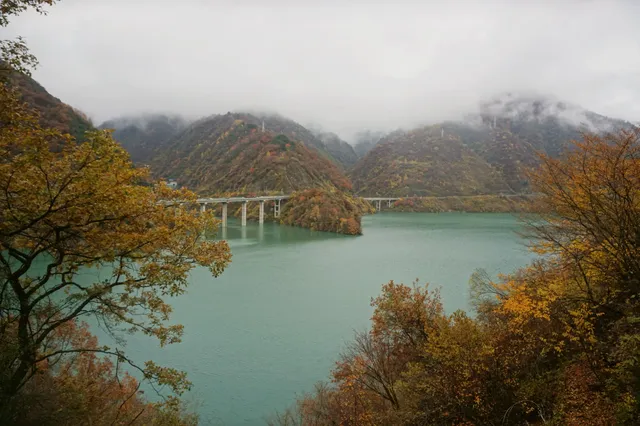 在綿陽發現一處小眾免費看彩林的地方 在綿陽發現一處小眾免費看彩林的地方