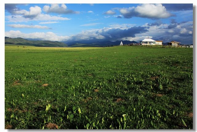 夏日必去甘南草原 夏日必去甘南草原