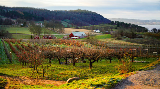秋遊必看巴音郭楞等地寶藏玩法大公開 秋遊必看巴音郭楞等地寶藏玩法大公開