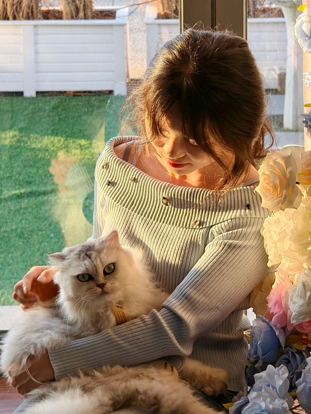 平潭這家海景民宿也太治癒了！面朝大海撸貓太幸福