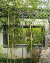 北方小江南｜磁州水墨園，一眼就驚艷的古風勝地