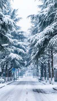 12月武漢四天三晚江城慢遊！