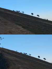 別只去三峽了！宜昌這個“小千島湖”，拍照根本不用修圖