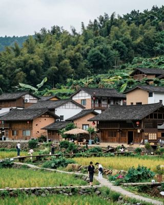 A Millennium-Old Cliffside Village, Unlocking Red Persimmons and Artistic Slow Living, Immersive Experience of Min Dong’s Local Life