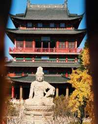 深秋南京,秒變被銀杏包圍的金陵