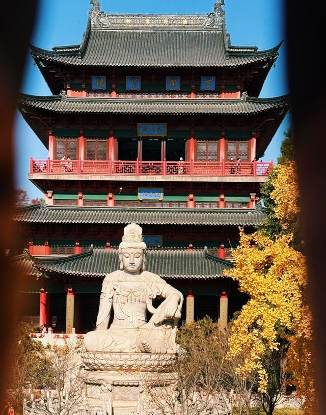 深秋南京,秒變被銀杏包圍的金陵 深秋南京,秒變被銀杏包圍的金陵