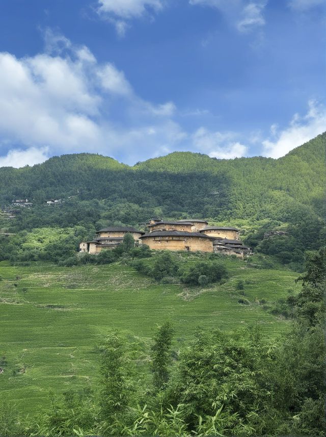 廈門1日包車遊 這些地方美到哭