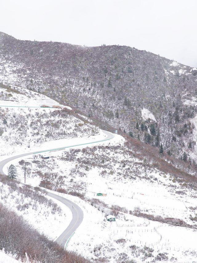 九寨初冬丨是天地緩緩展開的一幅山水留白