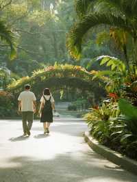 12月仙湖植物園親子遊|不走回頭路攻略