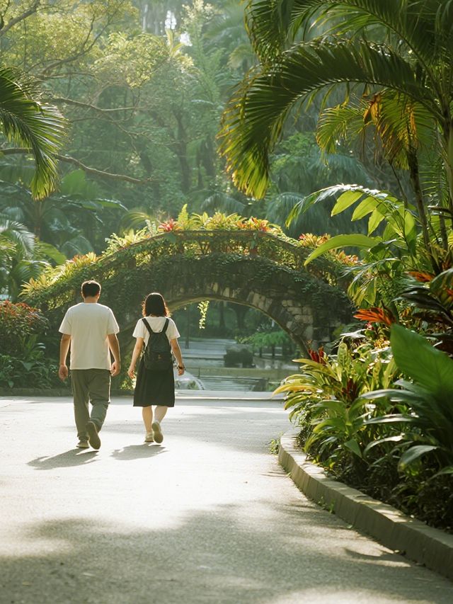 12月仙湖植物園親子遊|不走回頭路攻略 12月仙湖植物園親子遊|不走回頭路攻略