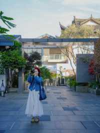 昆明限定一日遊 喂海鷗+逛老街太治癒啦