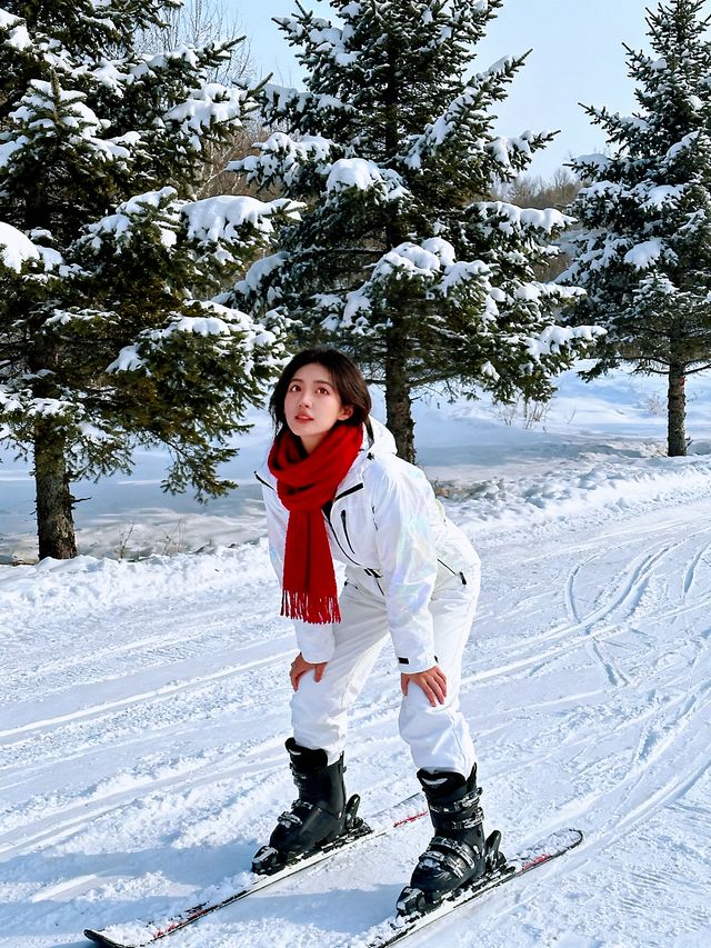 哈爾濱旅遊必看|從交通到住宿的保姆級乾貨 哈爾濱旅遊必看|從交通到住宿的保姆級乾貨