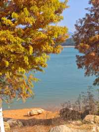 冬季來臨,白廊還值得來遊玩嗎?