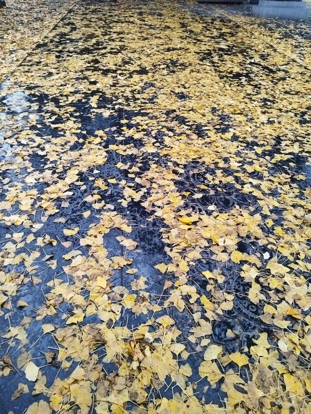 嵩山雨霧,塔影奇觀 嵩山雨霧,塔影奇觀