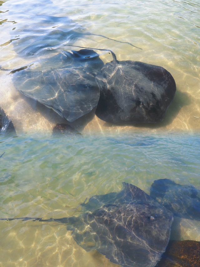 分界洲島值得人少景美的果凍海攻略在此 分界洲島值得人少景美的果凍海攻略在此