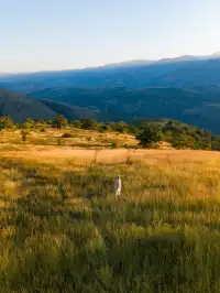 不是非洲這是雲南人自己的薩王納草原~