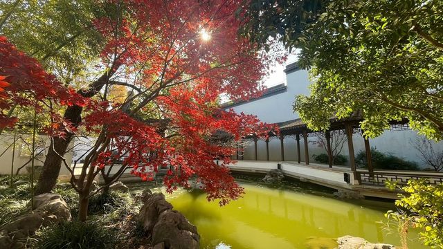 上海賞楓絕佳地標