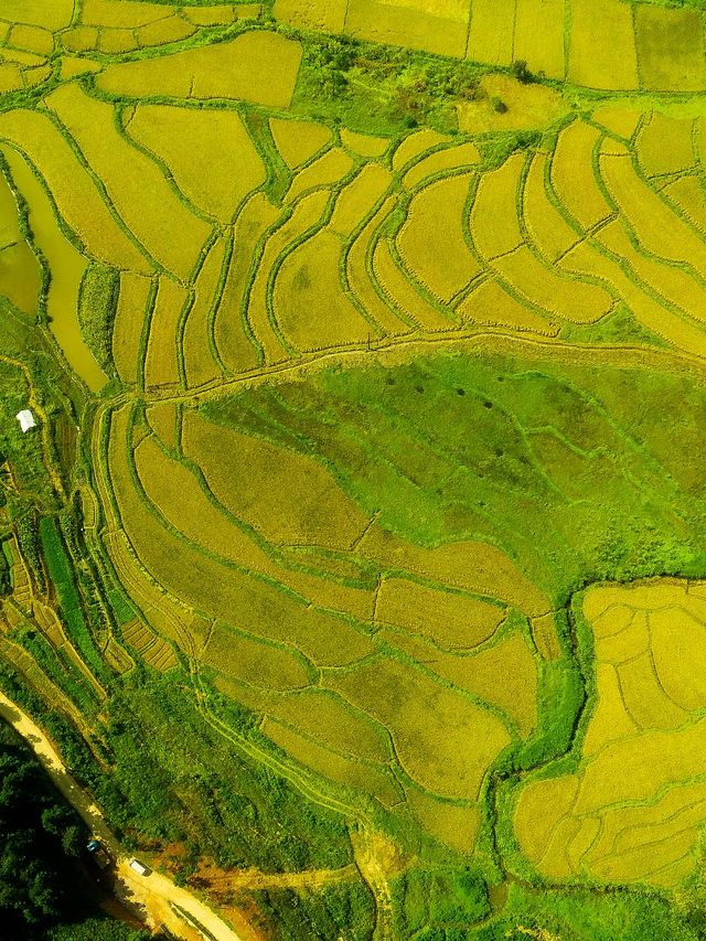 5天玩轉上饒-景德鎮-九江5日遊攻略來了