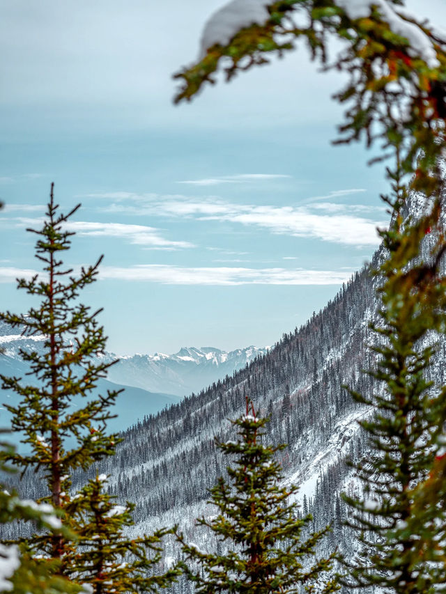冬遊班夫！卡爾加里往返小團解鎖玩雪項目