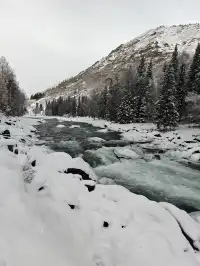 12月喀納斯河！闖入現實版冰雪童話世界