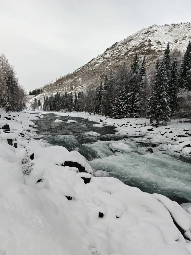12月喀納斯河！闖入現實版冰雪童話世界