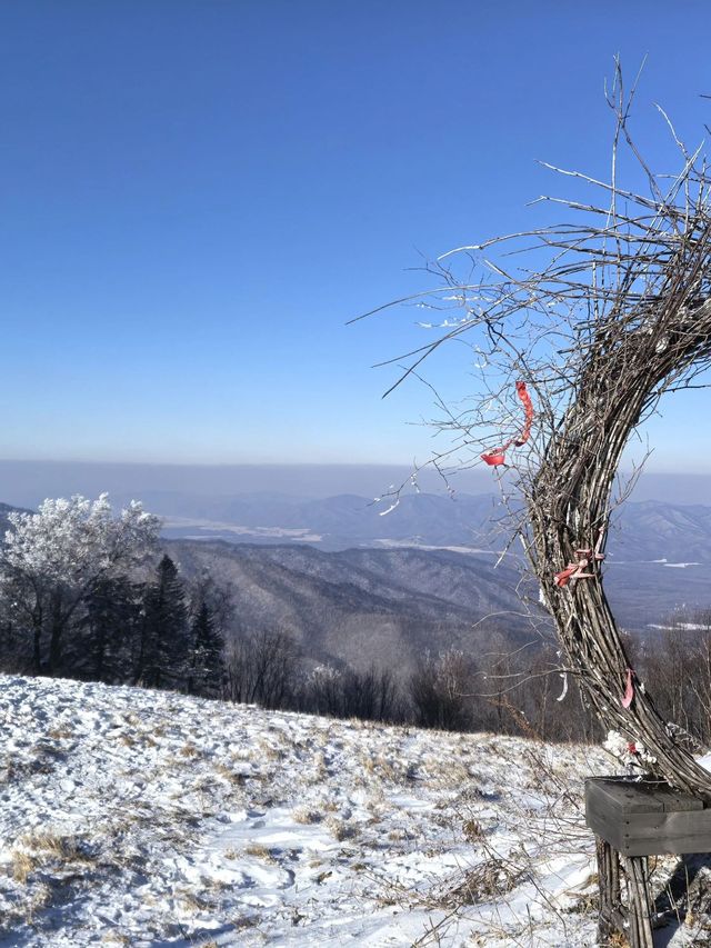吉林5日遊這篇攻略直接封神