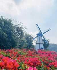 南寧青秀山旅遊拍照打卡地