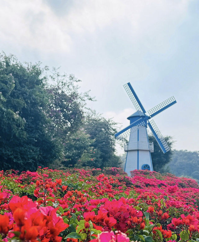 南寧青秀山旅遊拍照打卡地 南寧青秀山旅遊拍照打卡地