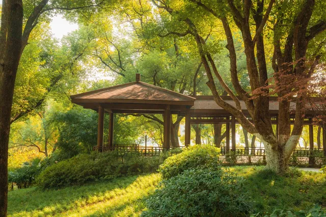 在武漢,週末不知道去哪兒玩,來東湖就對了 在武漢,週末不知道去哪兒玩,來東湖就對了