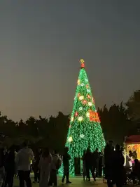 8小時中轉!極限速通青島(聖誕版