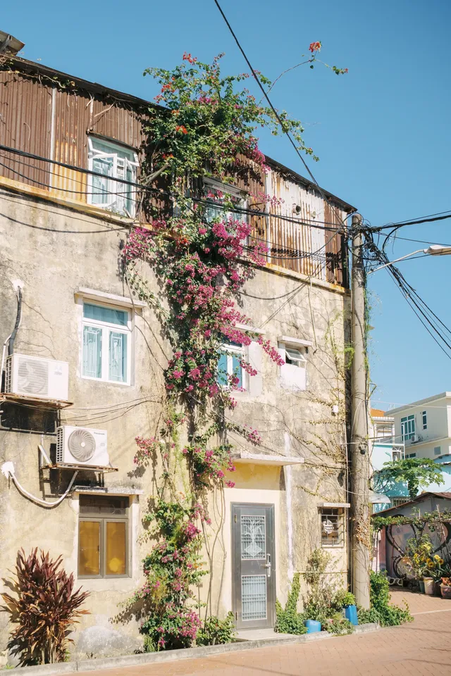澳門 | 彩色多巴胺的快樂，城市寧靜後花園