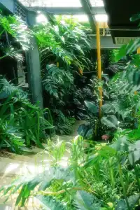 廈門植物園 | 像植物一樣呼吸