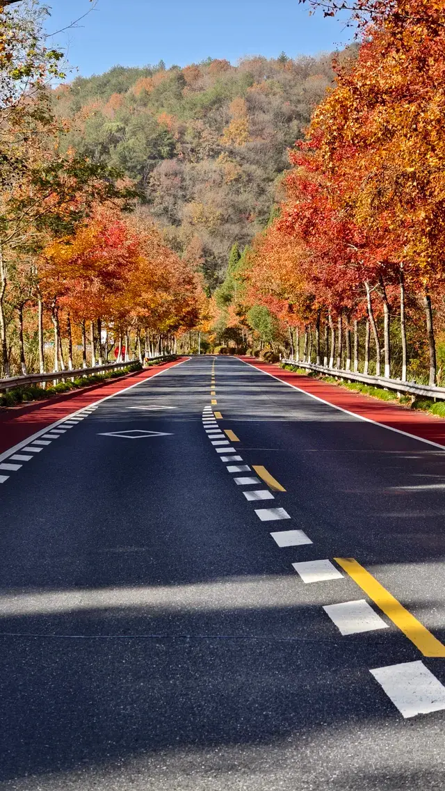 千島湖三天兩晚休閒遊 千島湖三天兩晚休閒遊