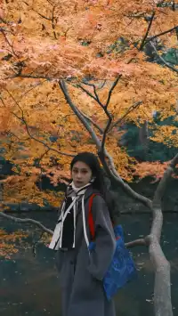 吊打京都沒人告訴我杭州的秋天這麼頂啊