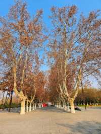 漢風起兮城 長安未央宮